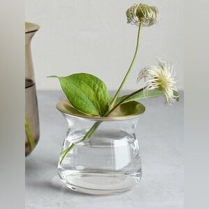 Kinto Luna Flower Bud Vase 80x70mm 170ml Clear Glass Brass Japan - NEW